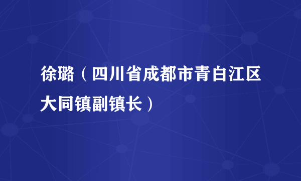 徐璐（四川省成都市青白江区大同镇副镇长）