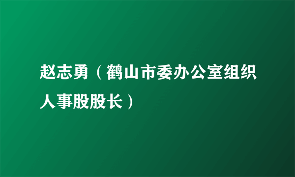 赵志勇（鹤山市委办公室组织人事股股长）