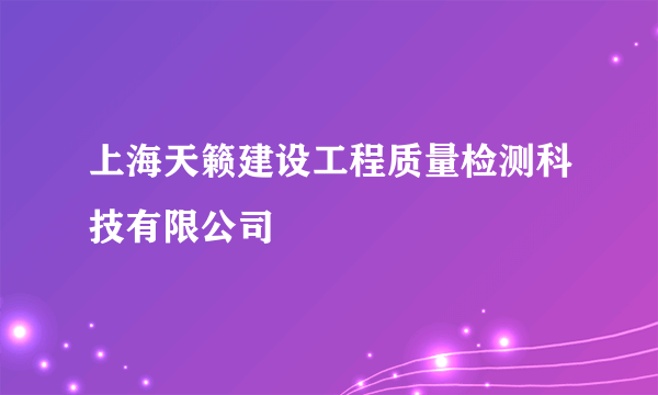 上海天籁建设工程质量检测科技有限公司