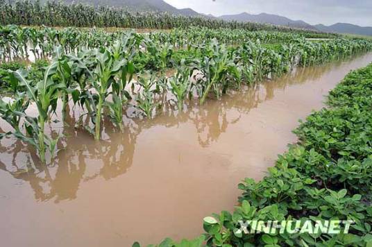 南山社区（浙江省定海区双桥镇南山社区）