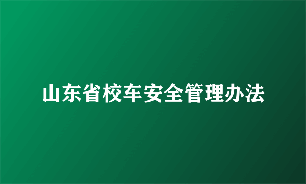 山东省校车安全管理办法