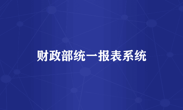 财政部统一报表系统