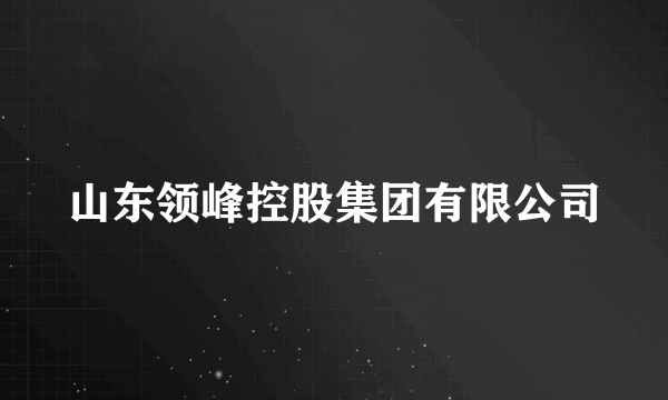 山东领峰控股集团有限公司