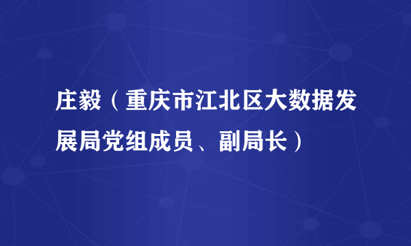 庄毅（重庆市江北区大数据发展局党组成员、副局长）