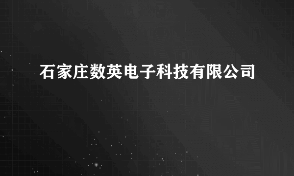 石家庄数英电子科技有限公司