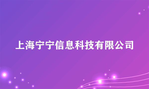 上海宁宁信息科技有限公司