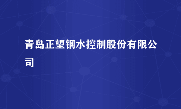 青岛正望钢水控制股份有限公司