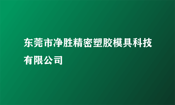 东莞市净胜精密塑胶模具科技有限公司