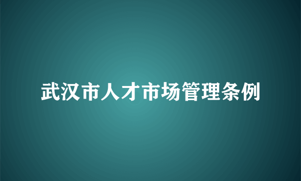 武汉市人才市场管理条例