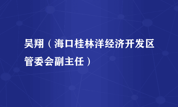 吴翔（海口桂林洋经济开发区管委会副主任）