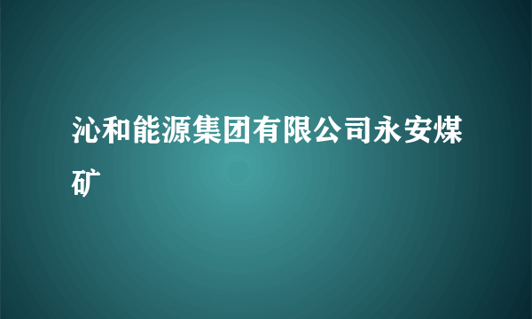 沁和能源集团有限公司永安煤矿