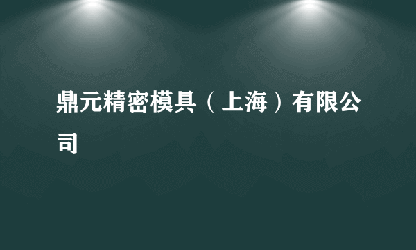 鼎元精密模具（上海）有限公司