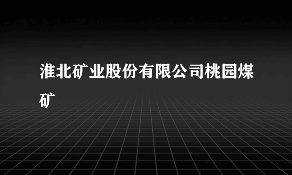 淮北矿业股份有限公司桃园煤矿