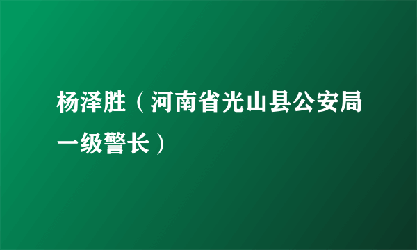 杨泽胜（河南省光山县公安局一级警长）