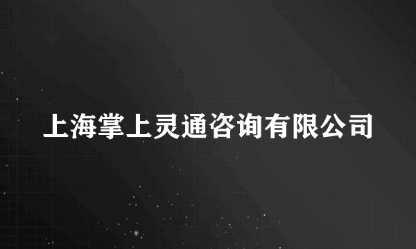 上海掌上灵通咨询有限公司