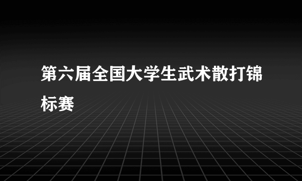 第六届全国大学生武术散打锦标赛