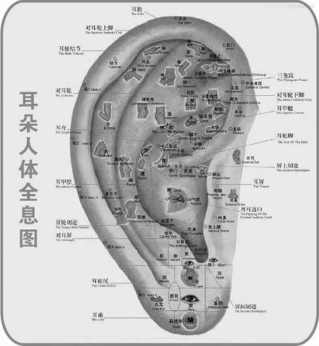 治耳病方