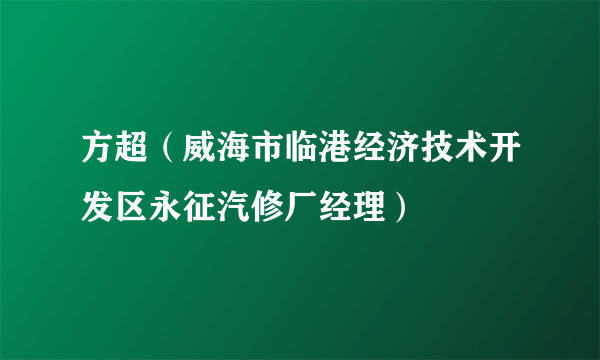 方超（威海市临港经济技术开发区永征汽修厂经理）