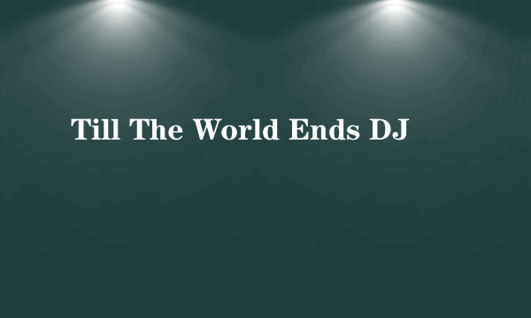 Till The World Ends DJ