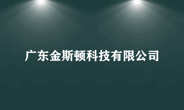 广东金斯顿科技有限公司