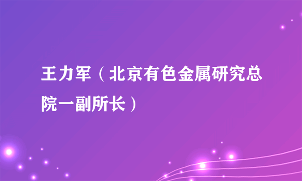 王力军（北京有色金属研究总院一副所长）