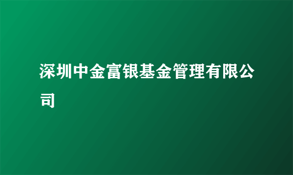 深圳中金富银基金管理有限公司