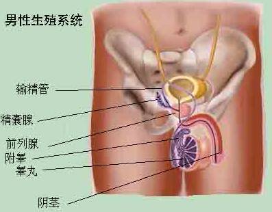 前列腺并发症