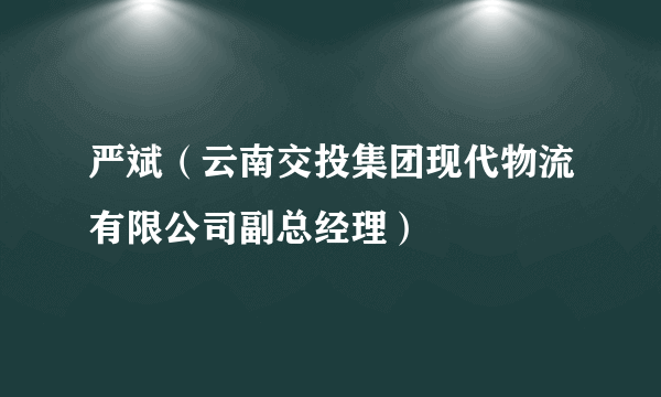 严斌（云南交投集团现代物流有限公司副总经理）