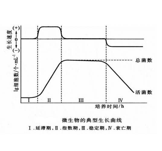 微生物生长曲线