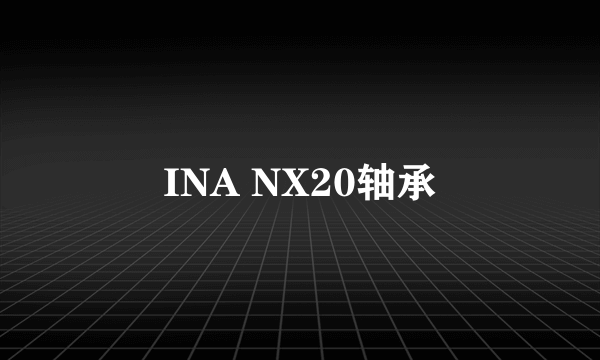 INA NX20轴承