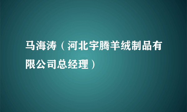 马海涛（河北宇腾羊绒制品有限公司总经理）