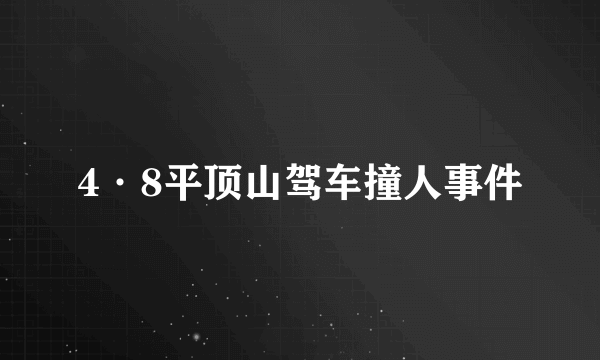 4·8平顶山驾车撞人事件