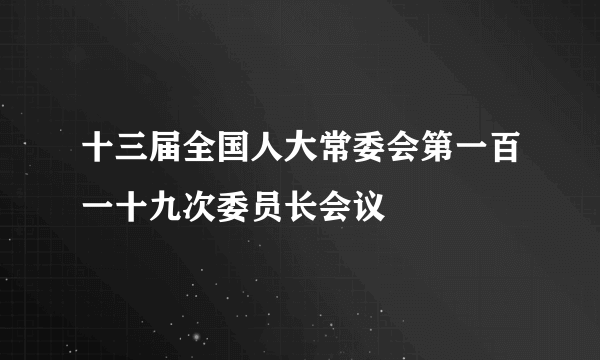 十三届全国人大常委会第一百一十九次委员长会议