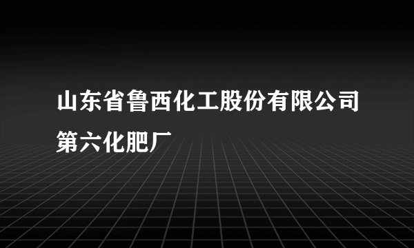 山东省鲁西化工股份有限公司第六化肥厂