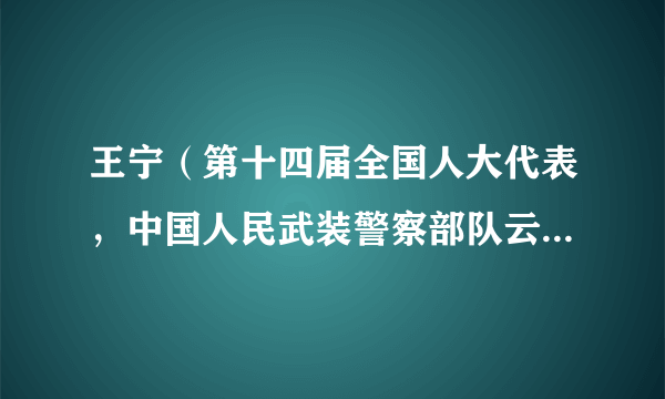 王宁（第十四届全国人大代表，中国人民武装警察部队云南省总队司令员）