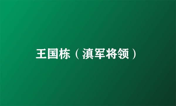 王国栋（滇军将领）