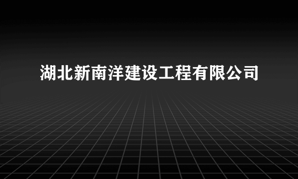 湖北新南洋建设工程有限公司