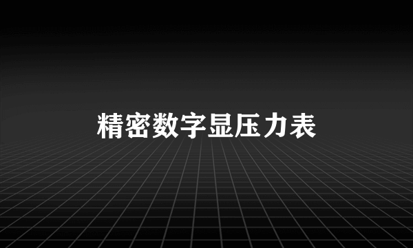 精密数字显压力表