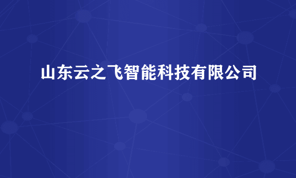 山东云之飞智能科技有限公司