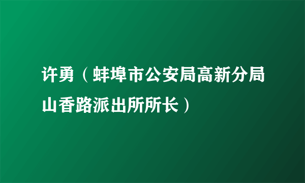 许勇（蚌埠市公安局高新分局山香路派出所所长）