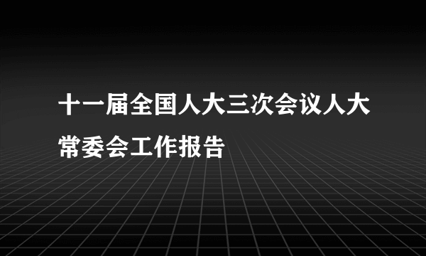 十一届全国人大三次会议人大常委会工作报告