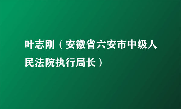 叶志刚（安徽省六安市中级人民法院执行局长）