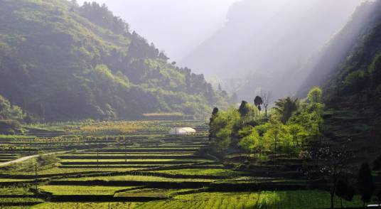 大娄山（云贵高原山脉）