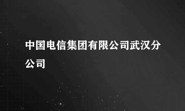 中国电信集团有限公司武汉分公司