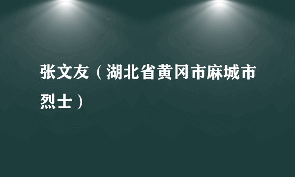 张文友（湖北省黄冈市麻城市烈士）