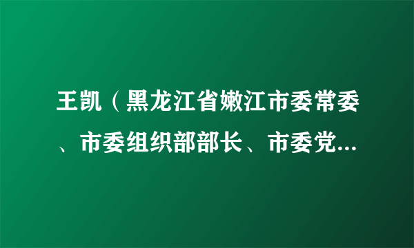 王凯（黑龙江省嫩江市委常委、市委组织部部长、市委党校第一副校长）