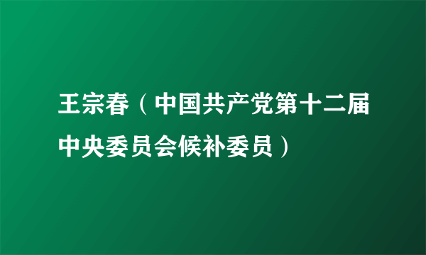 王宗春（中国共产党第十二届中央委员会候补委员）