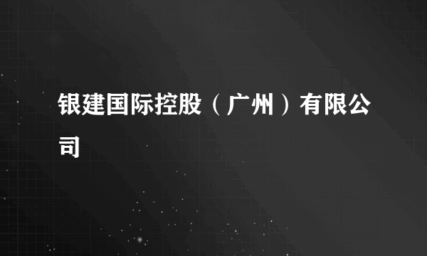 银建国际控股（广州）有限公司