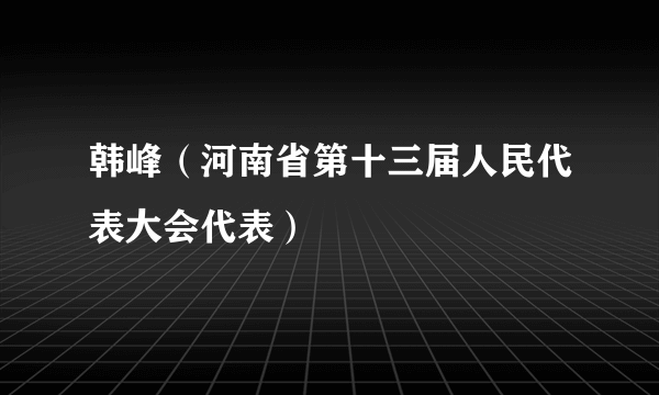 韩峰（河南省第十三届人民代表大会代表）