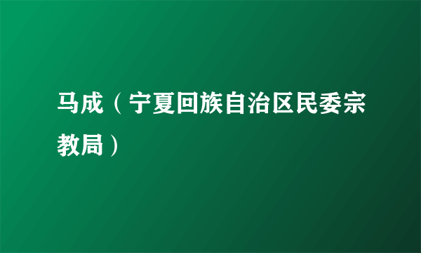 马成（宁夏回族自治区民委宗教局）